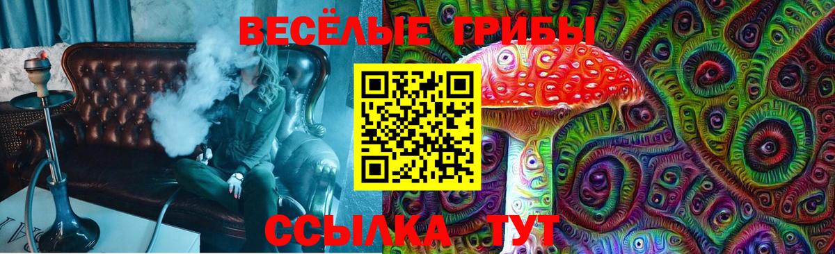 Псилоцибиновые грибы Psilocybe  Псилоцибиновые грибы Magic Shrooms  где найти наркотики  Вход с VPN  Советск 